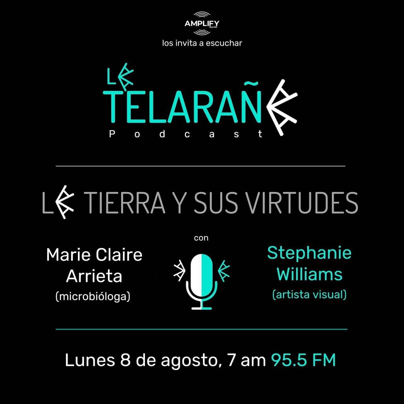 Portada de La Telaraña