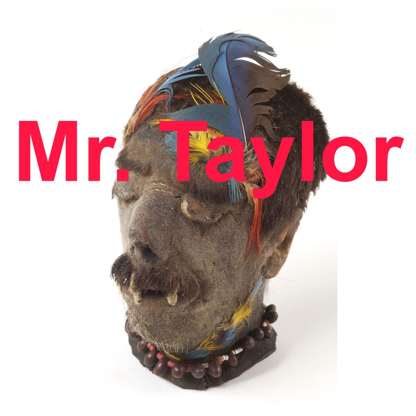 Instrucciones para un cuento