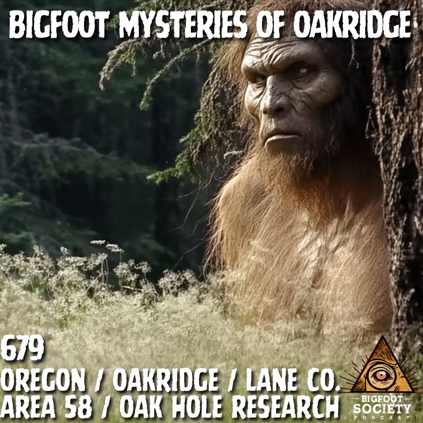 Recent Bigfoot Activity in Oakridge, Oregon!