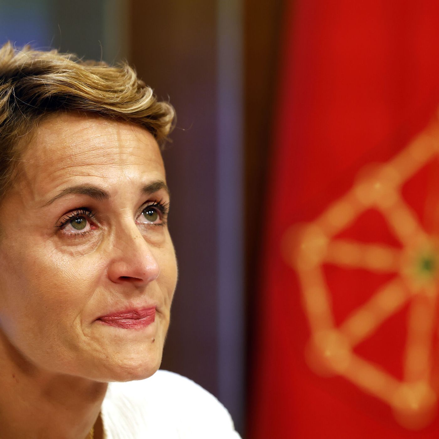 Sergio Sayas desvela el papel del PSOE en Navarra para que terroristas den clases a niños: "El mayor éxito de Bildu"