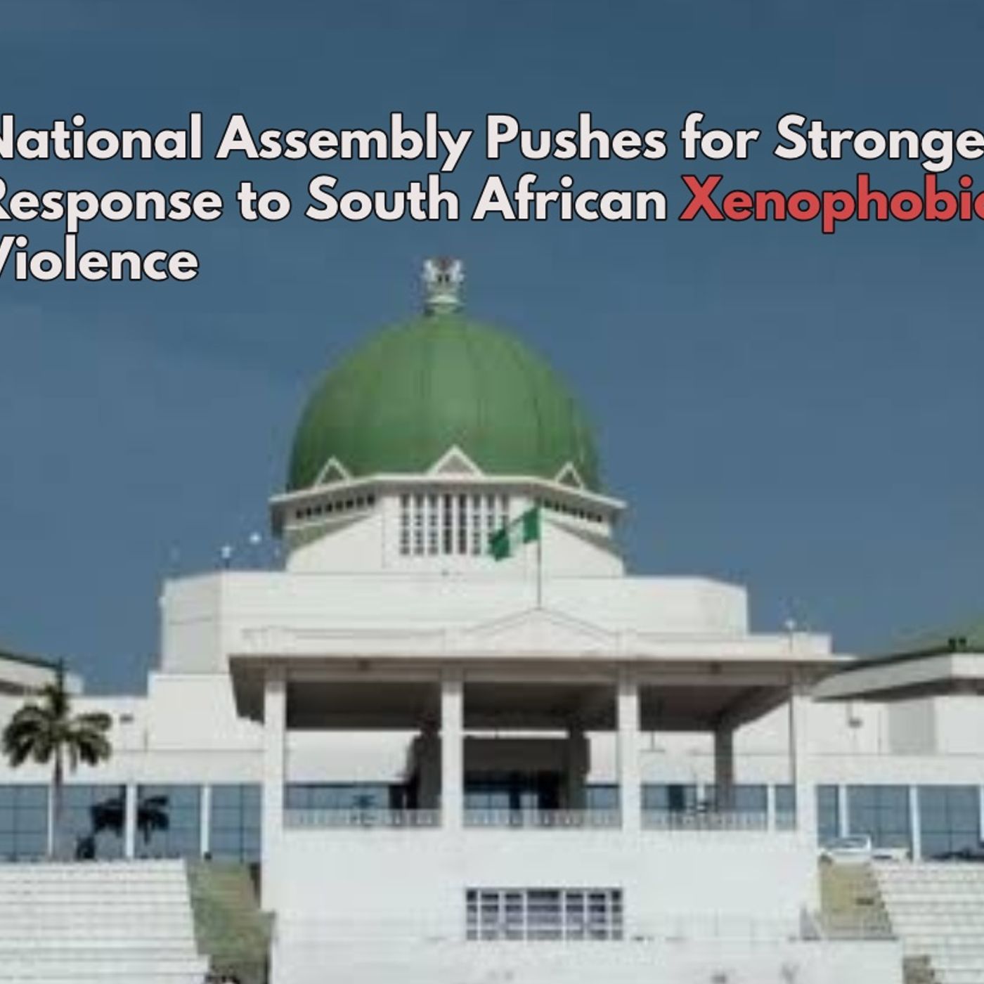National Assembly Pushes for Stronger Response to South African Xenophobic Violence episode artwork