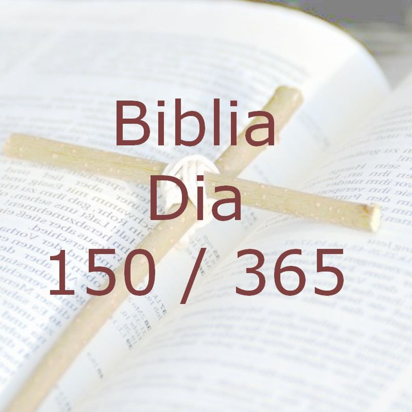 La Biblia en 365 dias