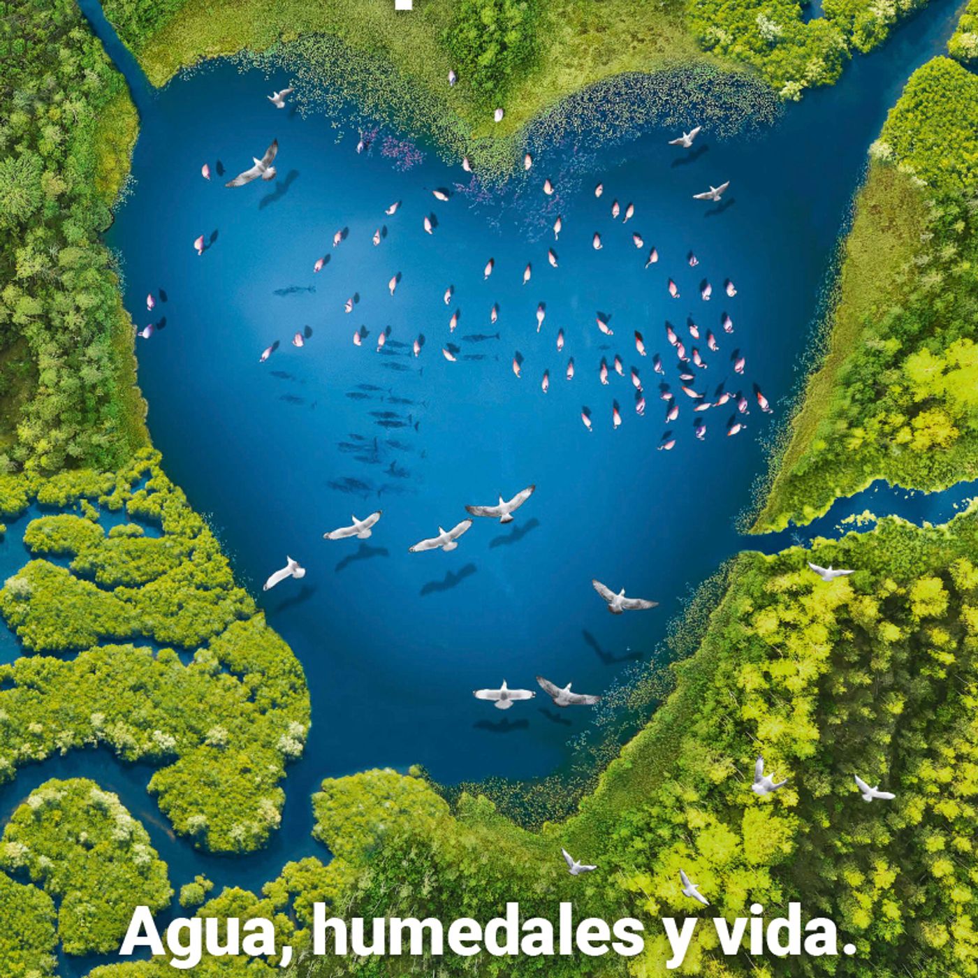 Día Mundial del Agua