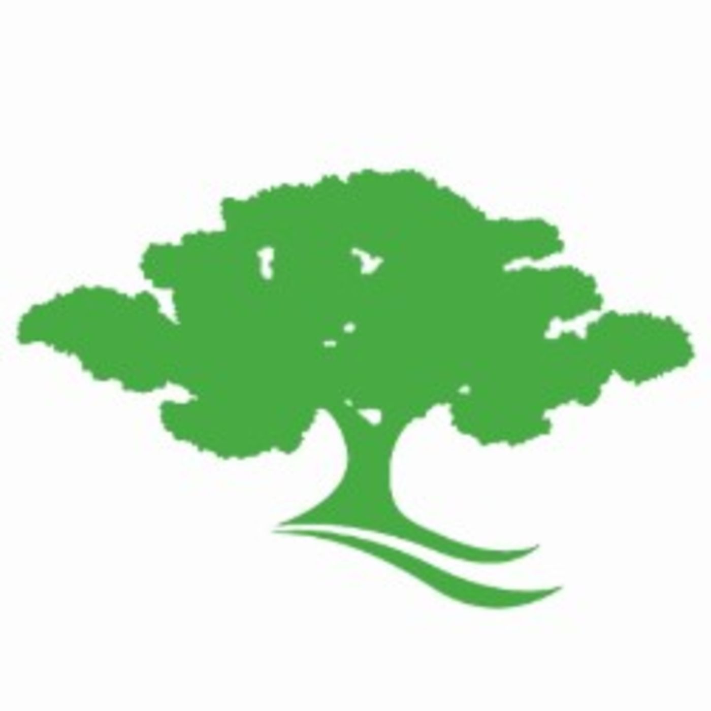 Atlanta Marketing Strategy Consultant