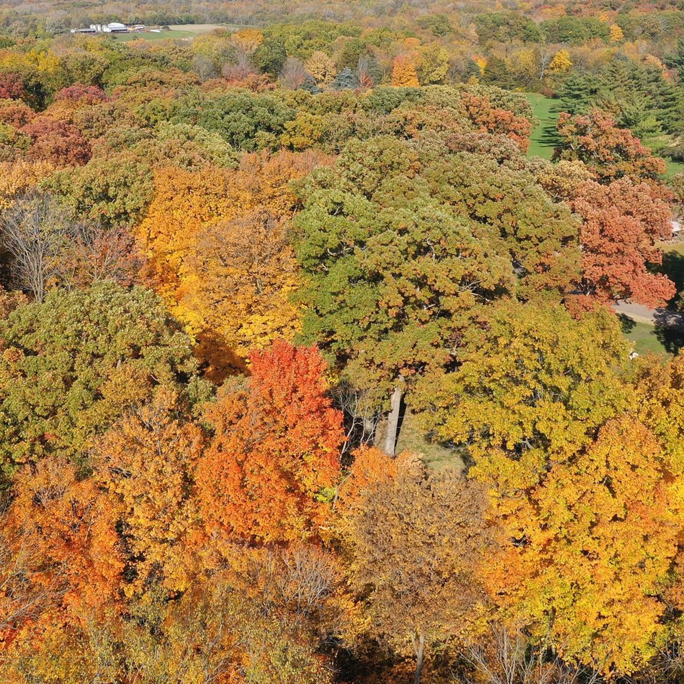 Princeton Park District announce City County Park opening episode artwork
