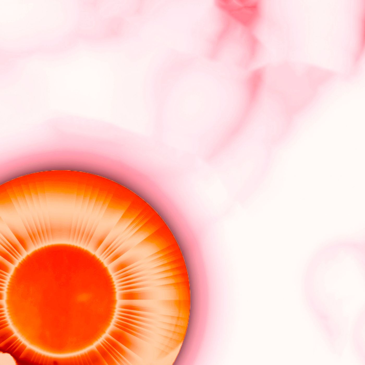 The Miss President Show's show cover art