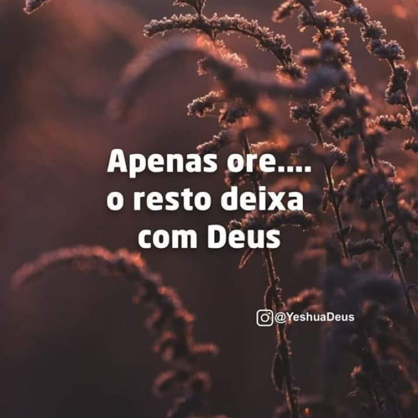Canal de Oração do Deva