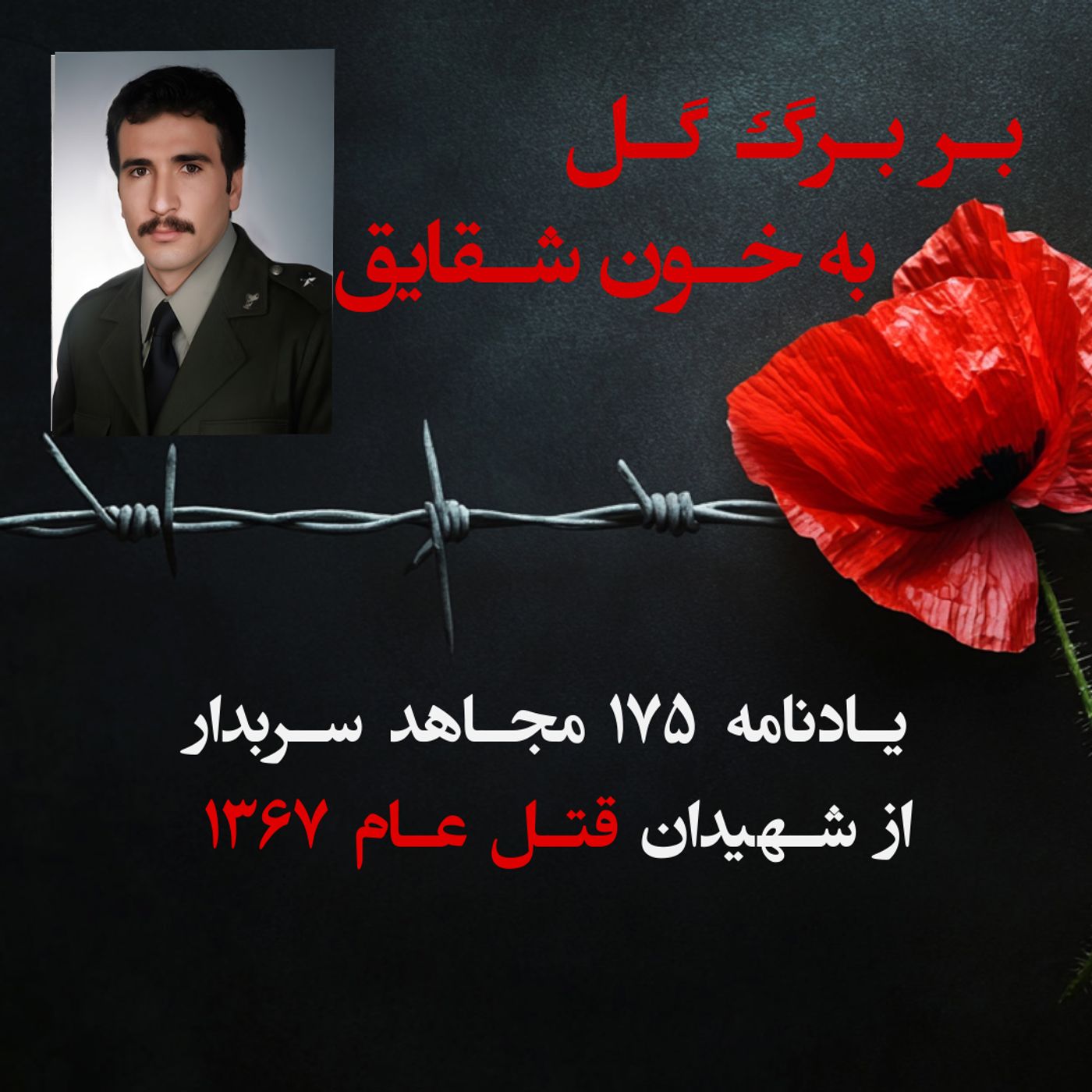 بربرگ گل به خون شقایق-منصور پایدار