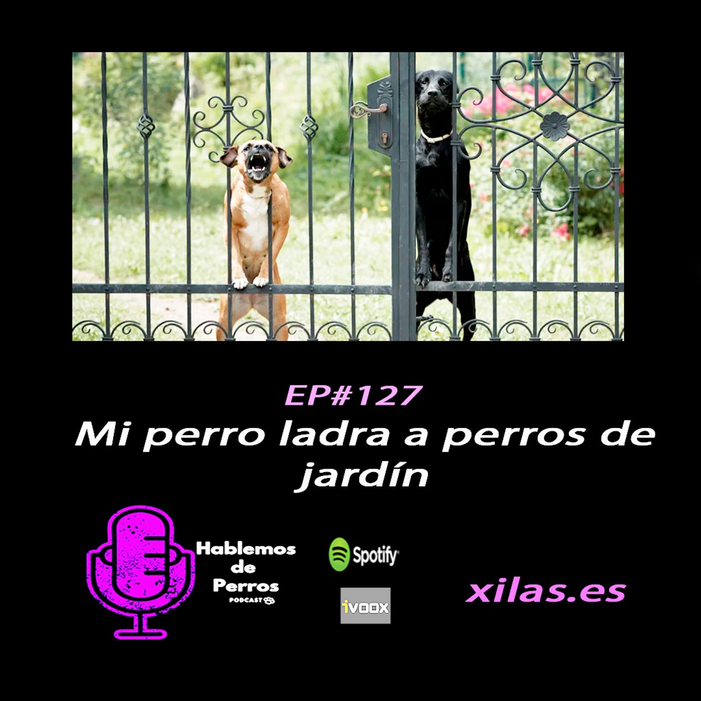 Hablemos de perros
