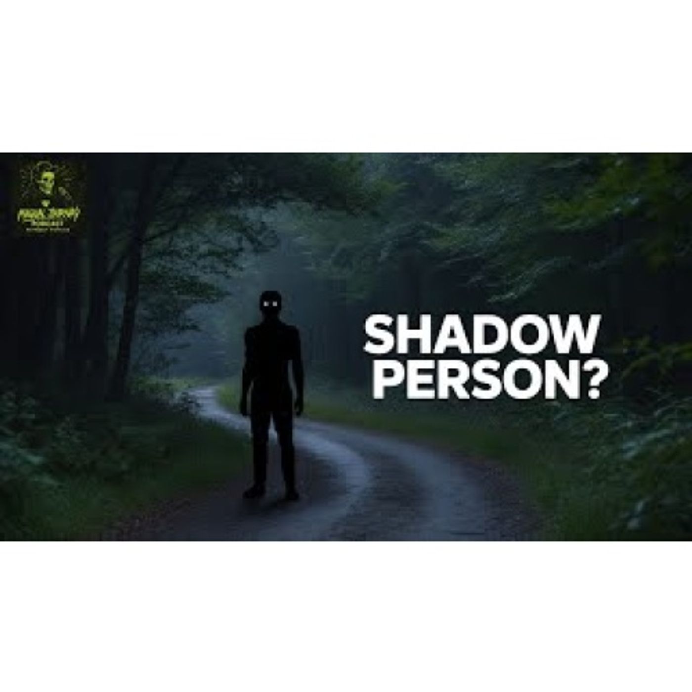 SHADOW PERSON on Appalachian Trail with BRIGHT WHITE EYES – Real Hiker Encounter