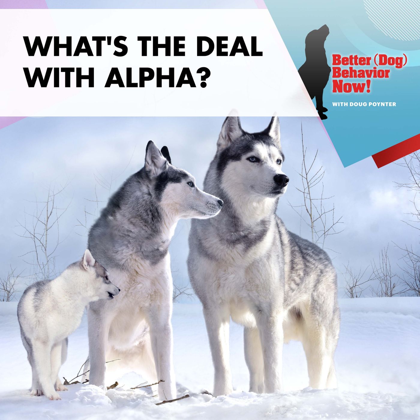 What's The Deal With Alpha? episode artwork