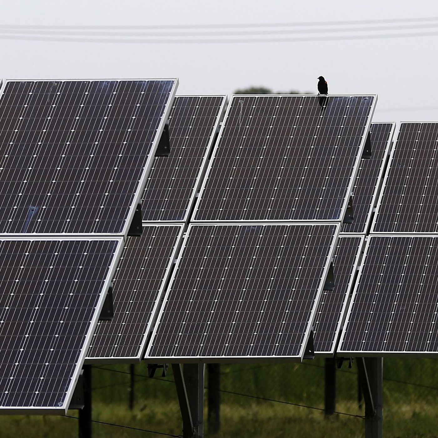 McHenry County denies solar farms – then gets sued for turning them down episode artwork