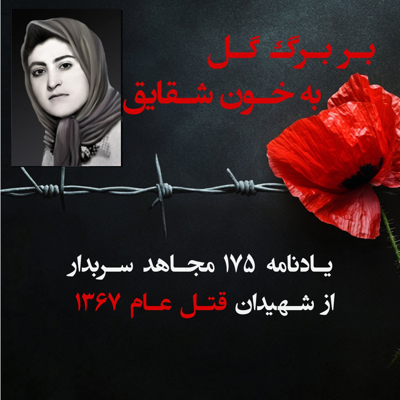 بربرگ گل به خون شقایق- فرنگیس محمدرحیمی-۱۱۴ episode artwork