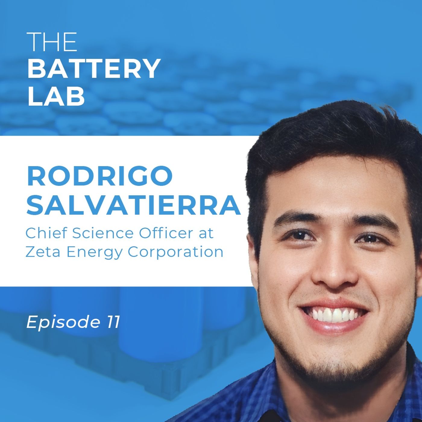 The Rise of Lithium-Sulfur EV Batteries