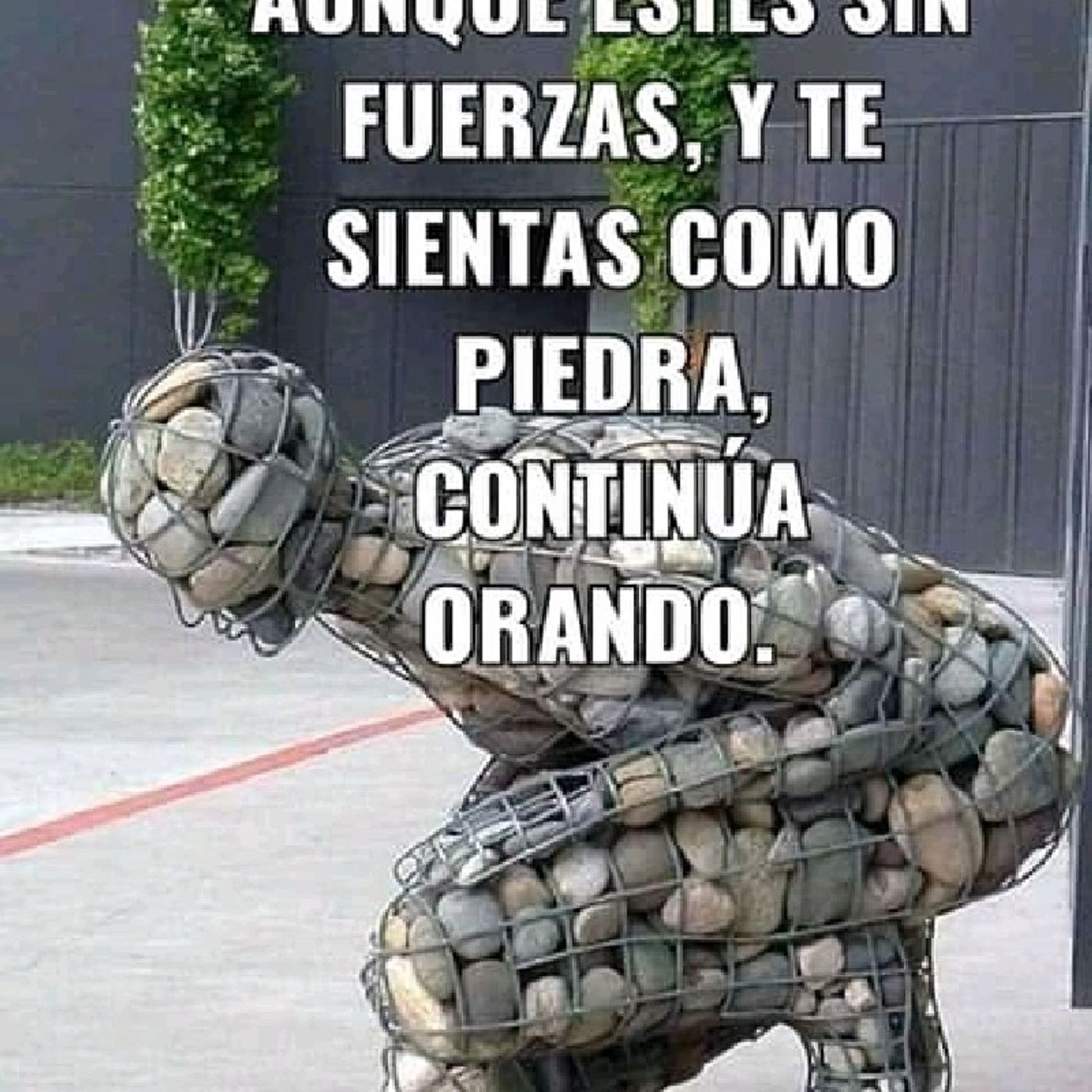 El show de Roca Roca