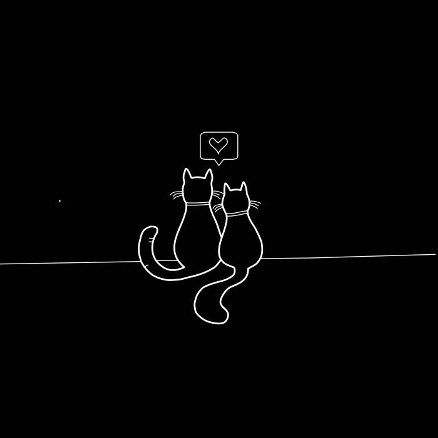 M. Can Asfuroğlu - Ben Kötü Değilim episode artwork