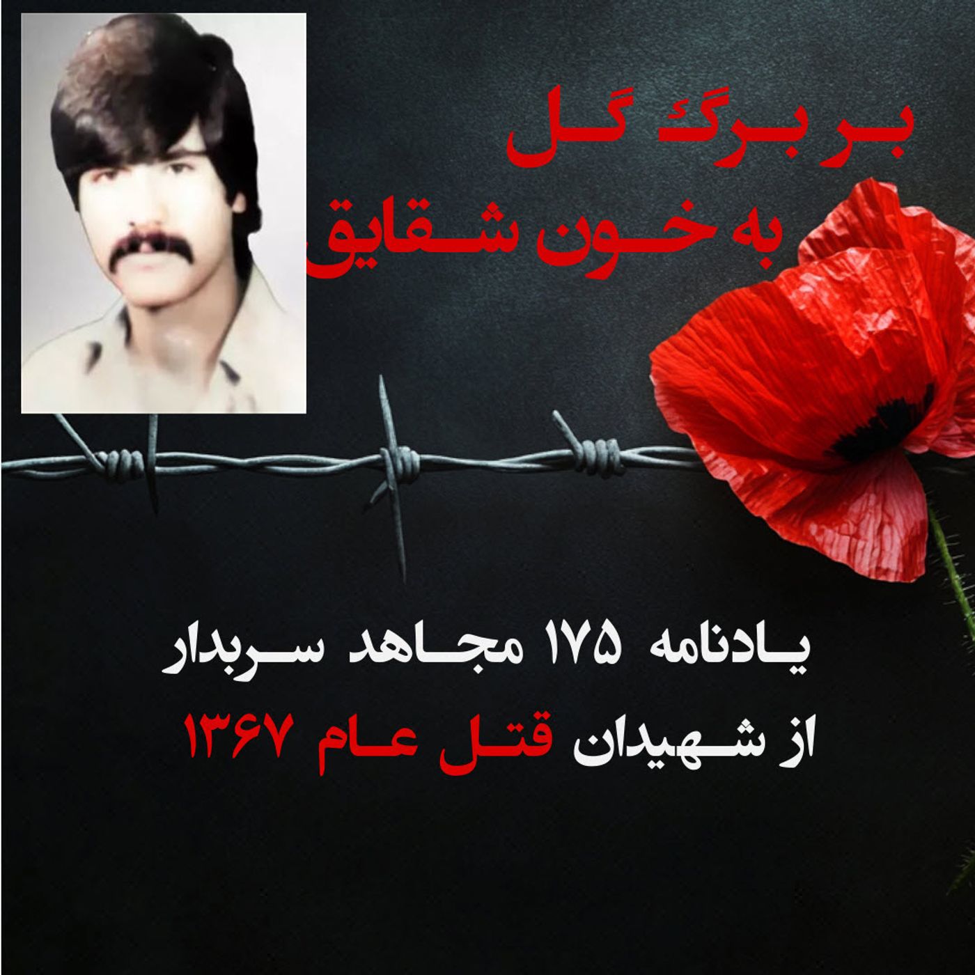 بربرگ گل به خون شقایق-احمد غلامی-۱۰۲