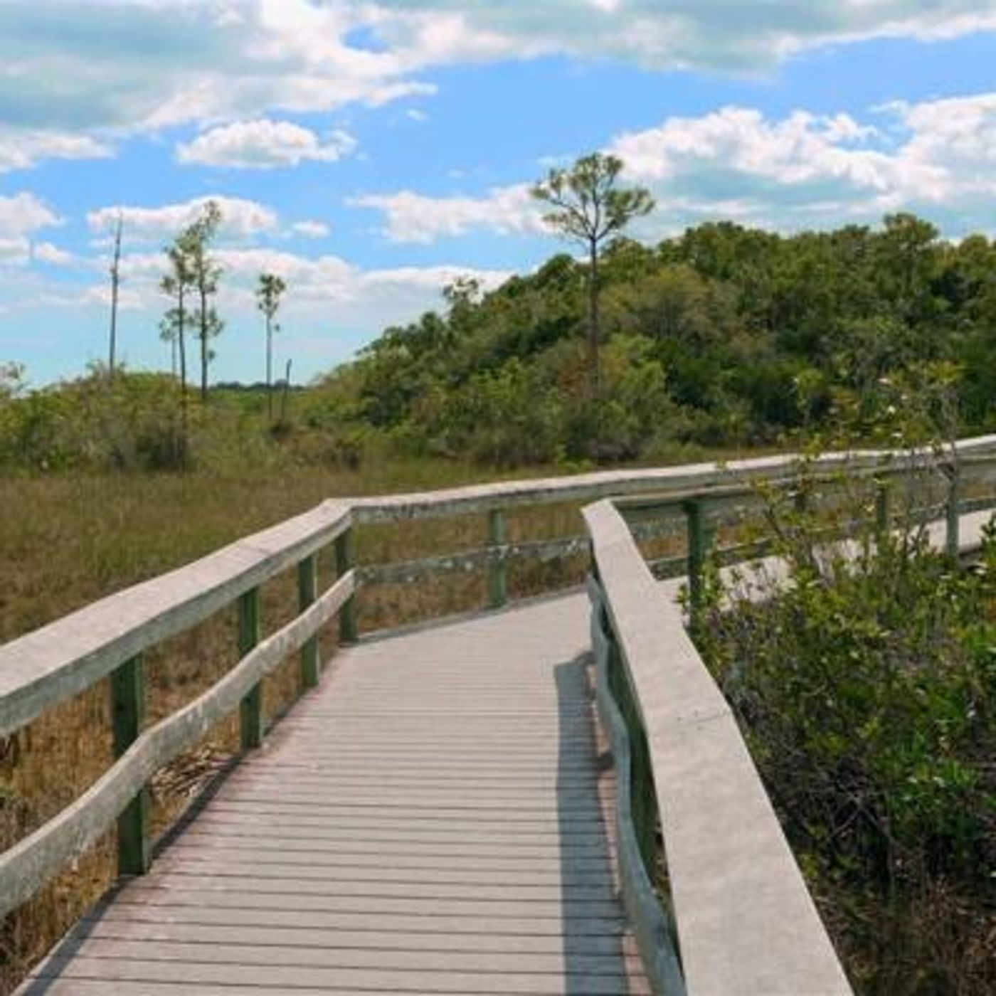 Cool Florida Wind - 10 Hours Sleep Sound