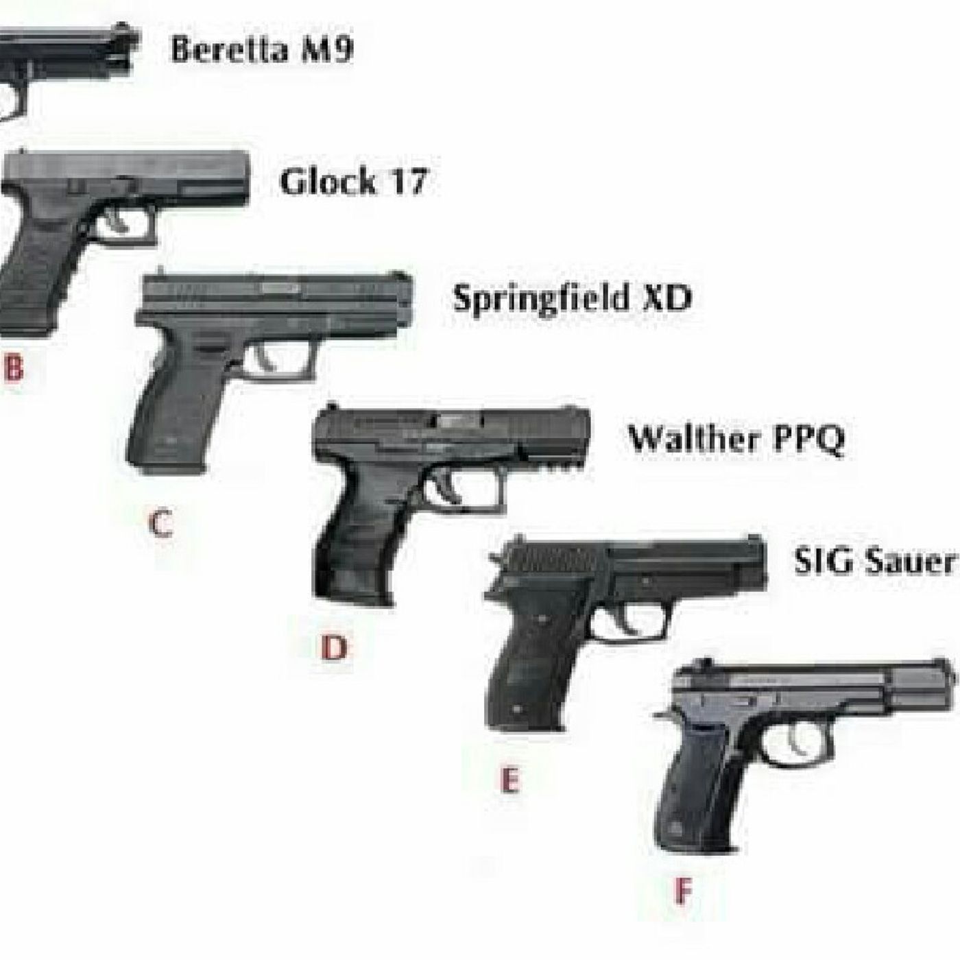 Asja Sherifa\'s show