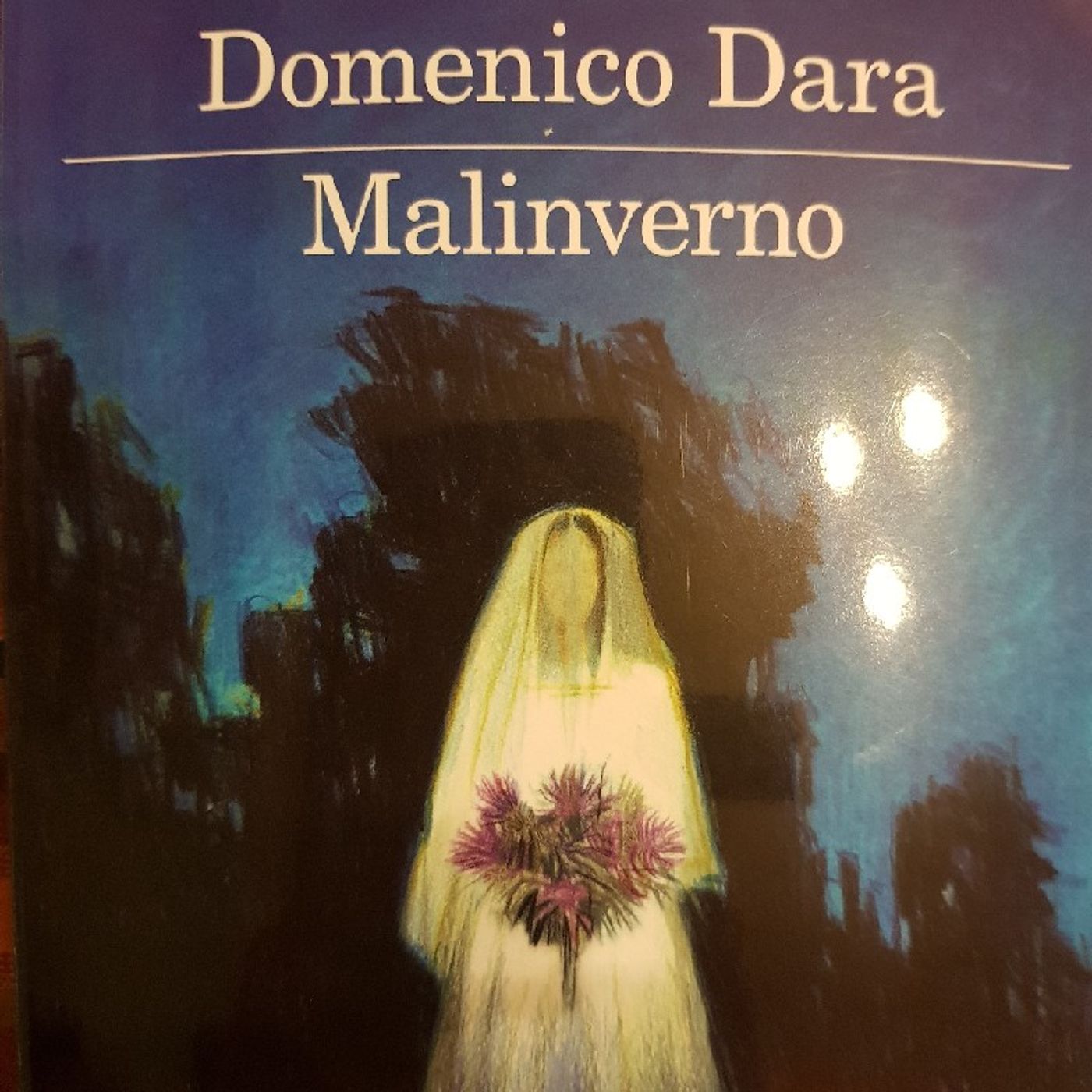 Domenico Dara : Malinverno