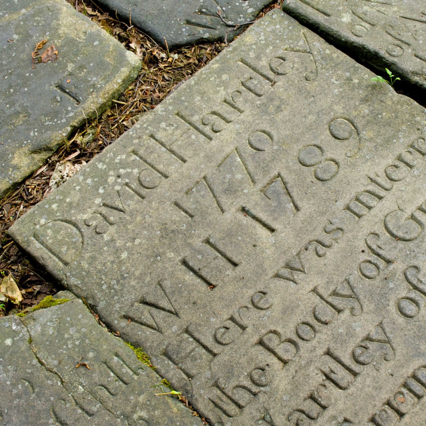 Historias de la economía