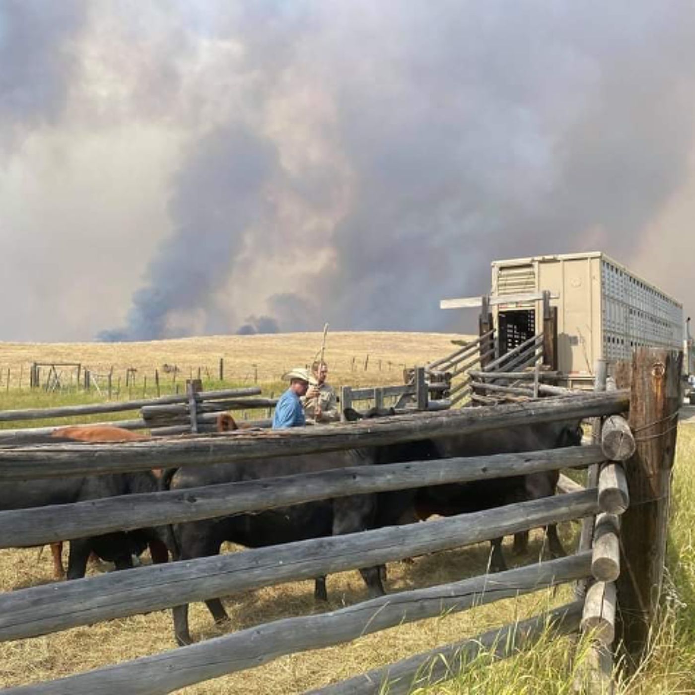 New emergency access tool aims to get B.C. producers back on the land faster episode artwork