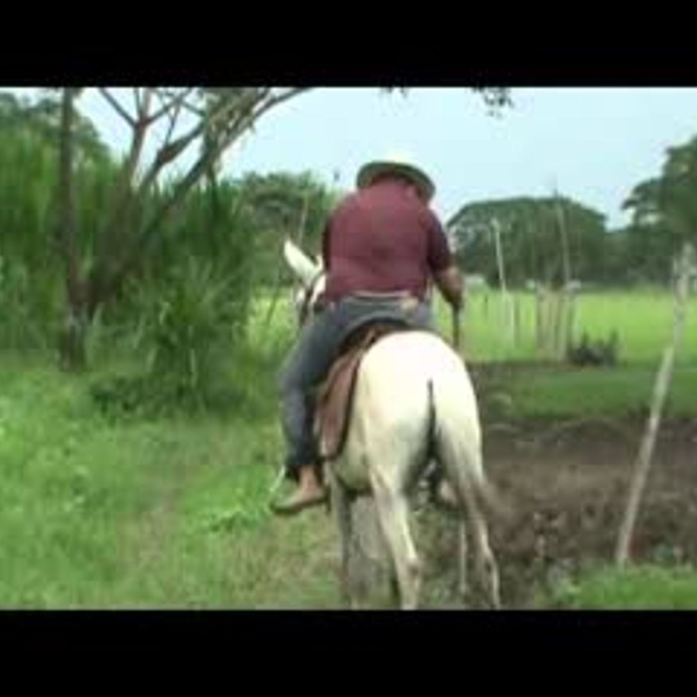 Música Para Todos
