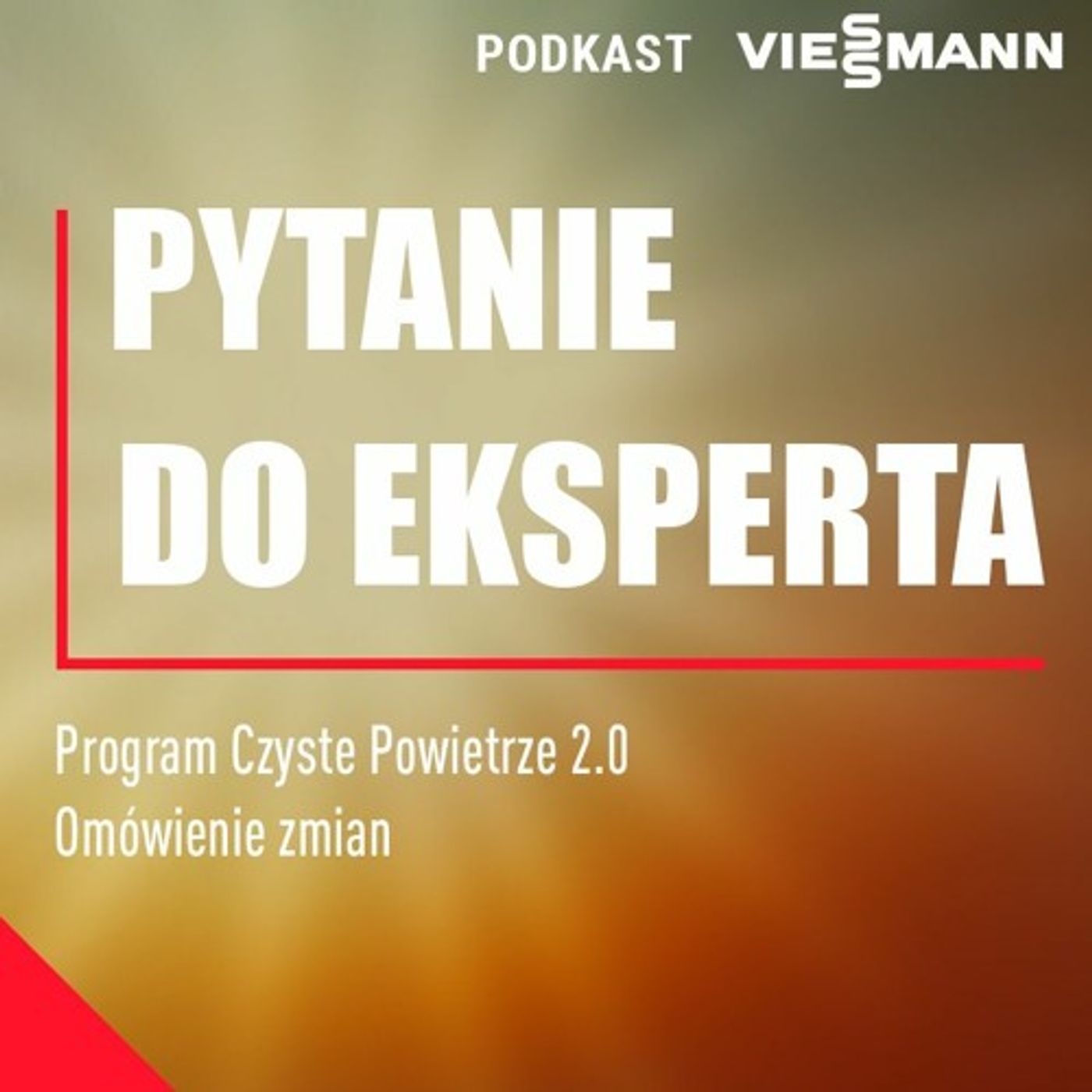 Ekspert Viessmann - Program Czyste Powierze 2 - 0
