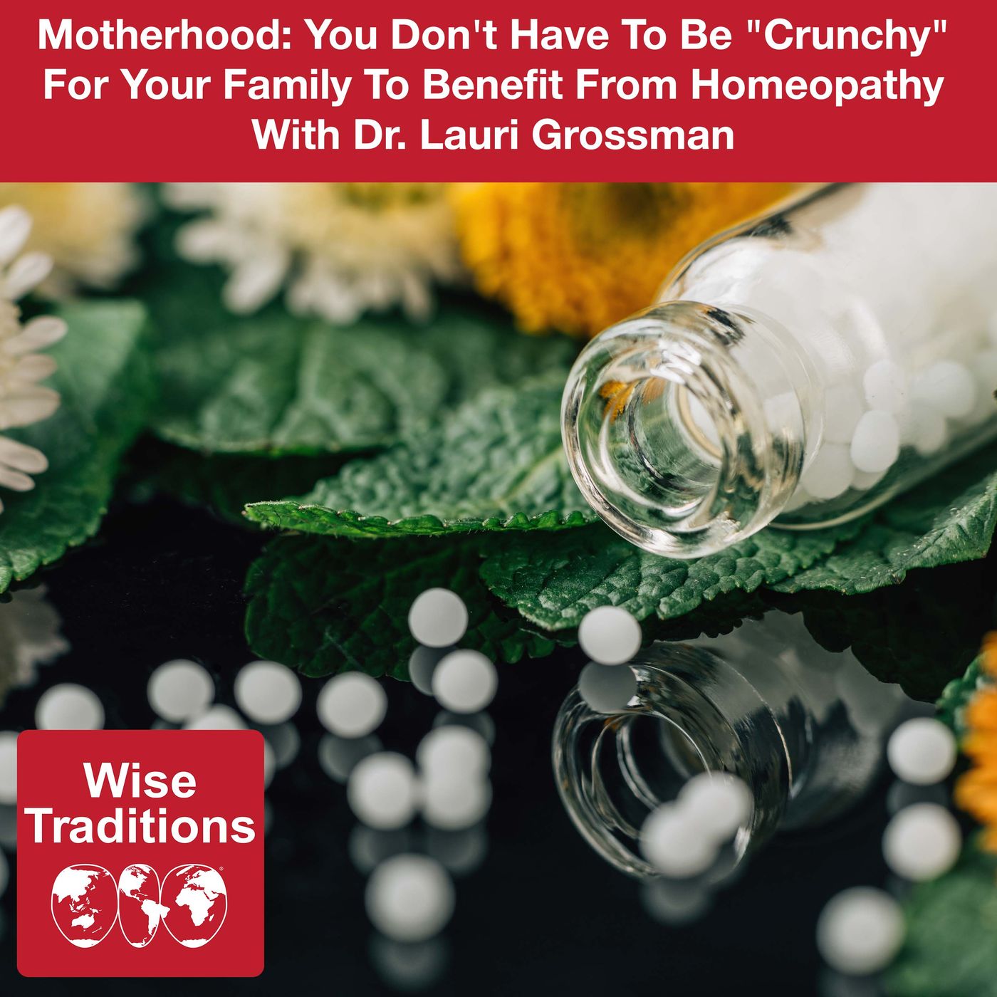 505: Motherhood: You Don't Have To Be "Crunchy" For Your Family To Benefit From Homeopathy With Dr. Lauri Grossman