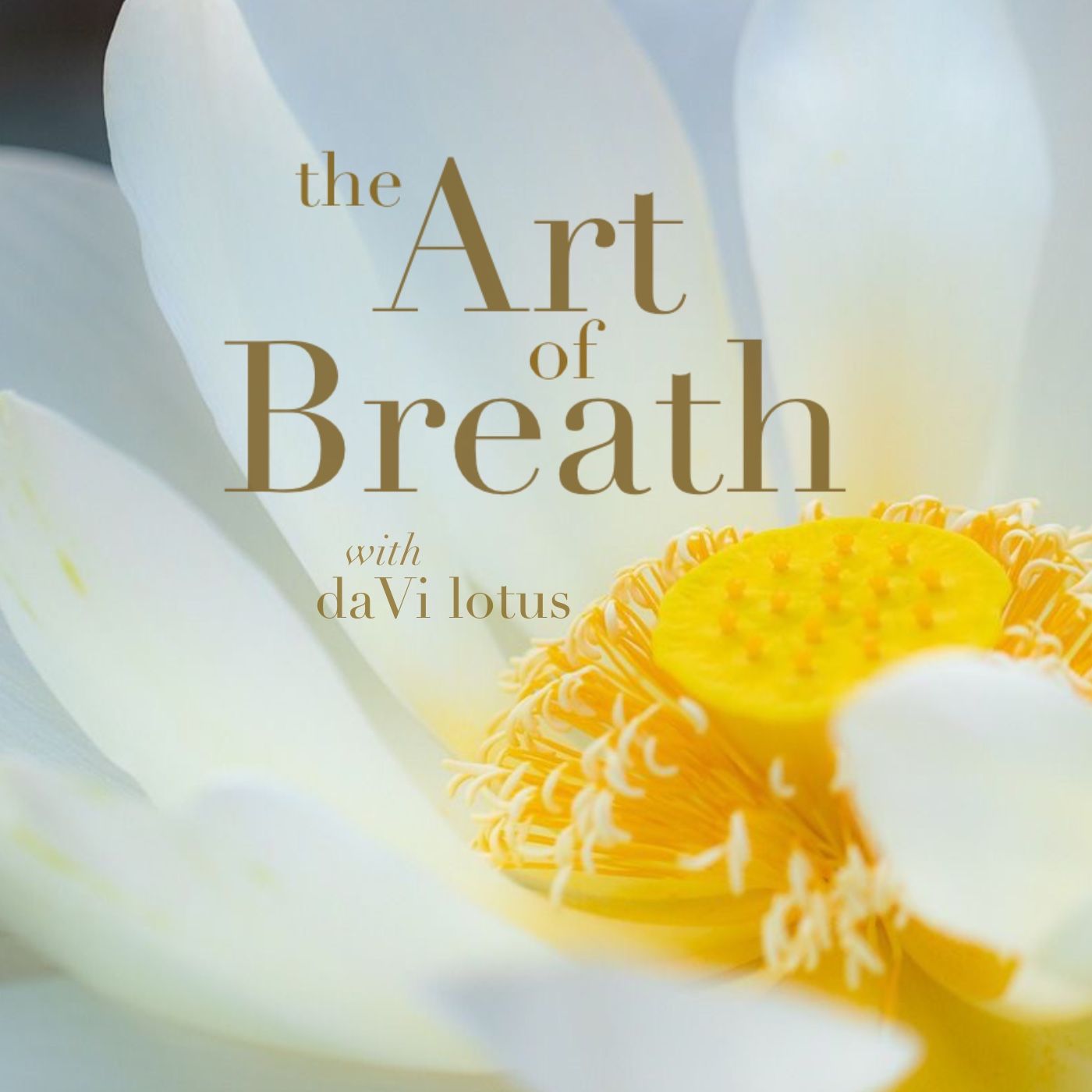 the Art of Breath