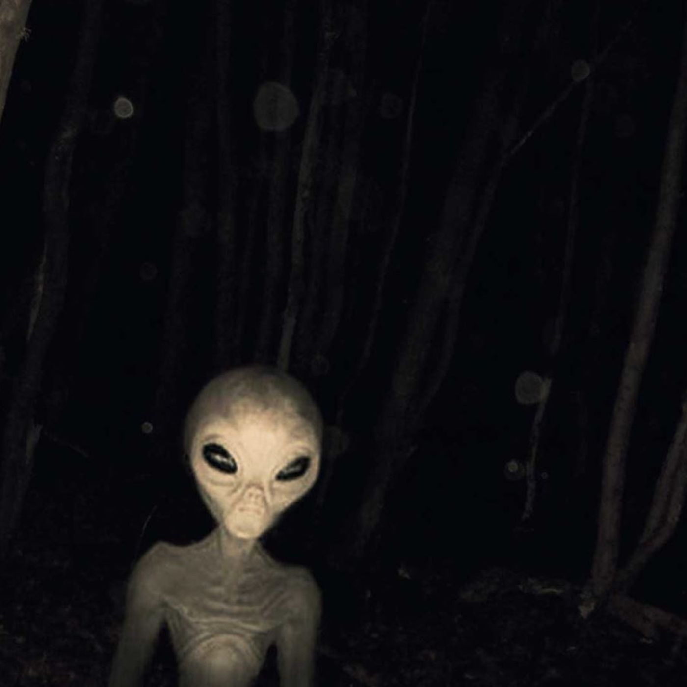 Investigate Earth Conspiracy Podcast