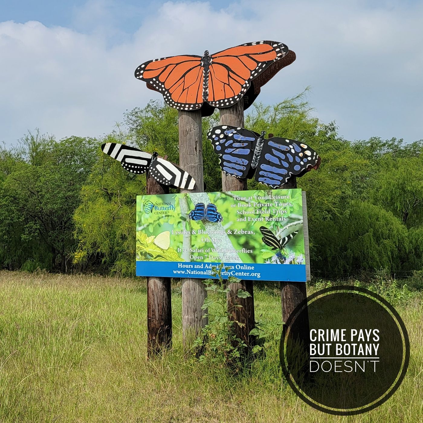 Butterflies and Border Walls