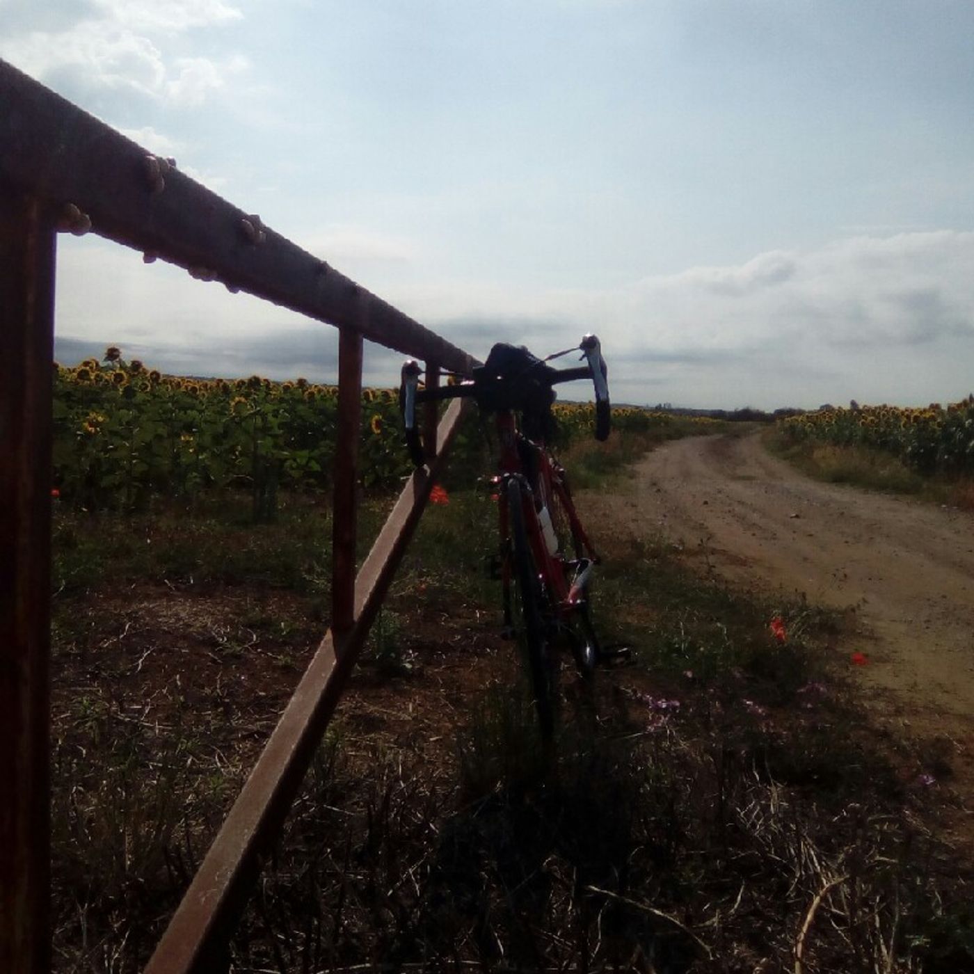 2# 🚴FORGIATI A PEDALI🚵radioH2E episode artwork