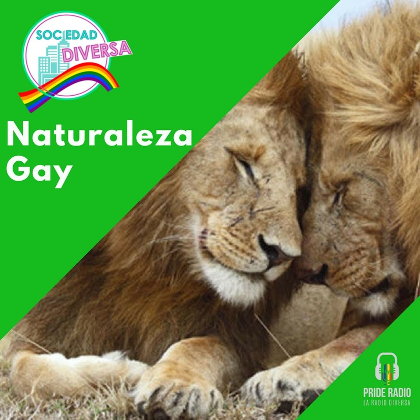 La Homosexualidad SÍ es Natural