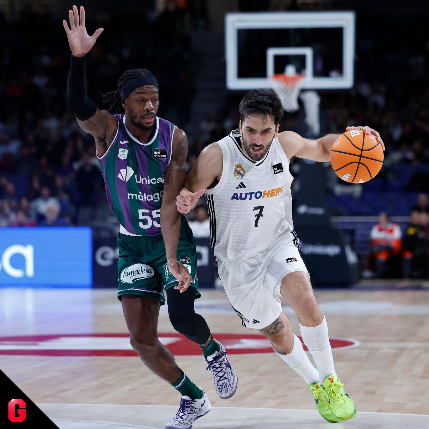 Gigantes Daily, baloncesto al día