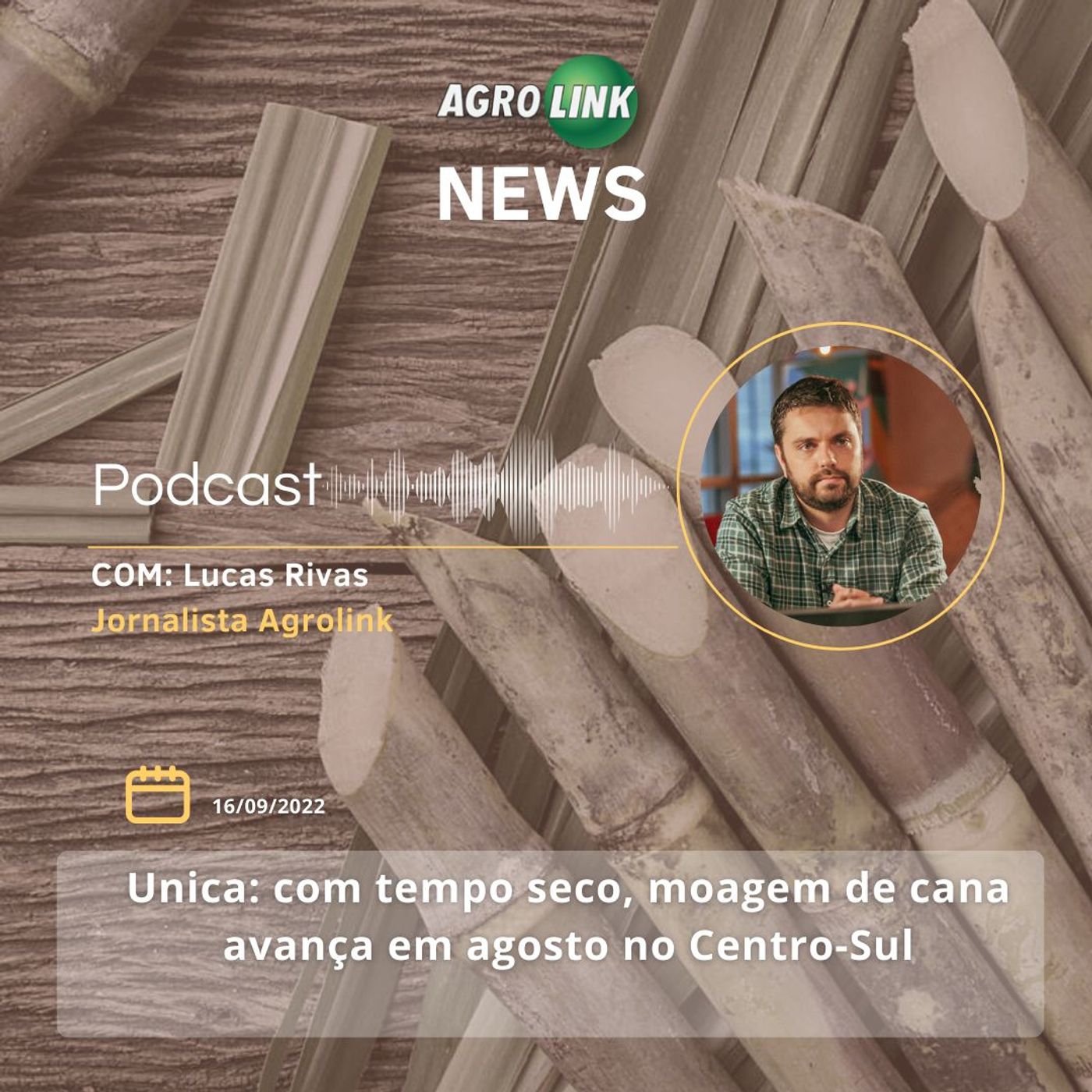 Produção agrícola brasileira alcança recorde em 2021 episode artwork