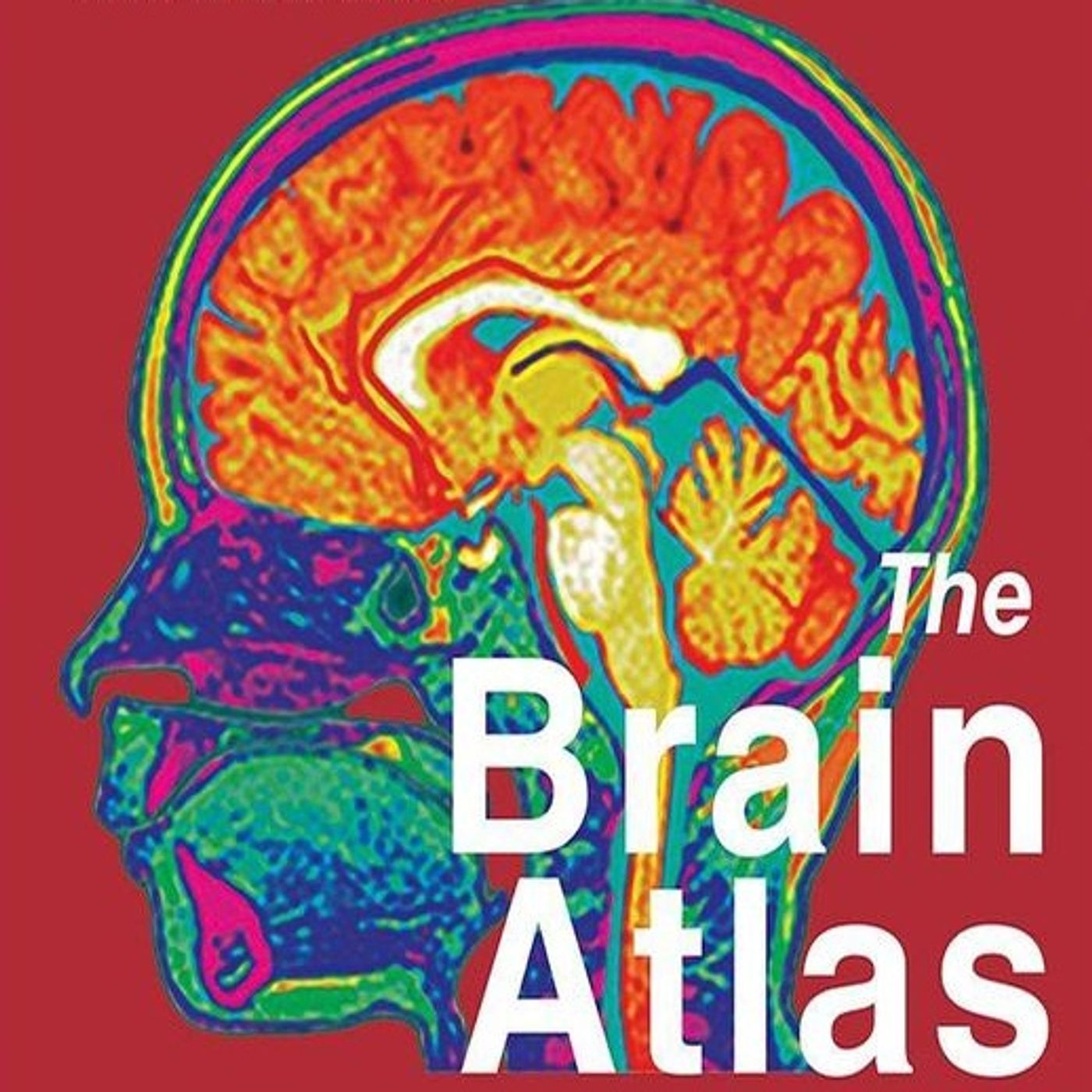 The Brain Atlas: A Visual Guide To The Human Central Nervous System