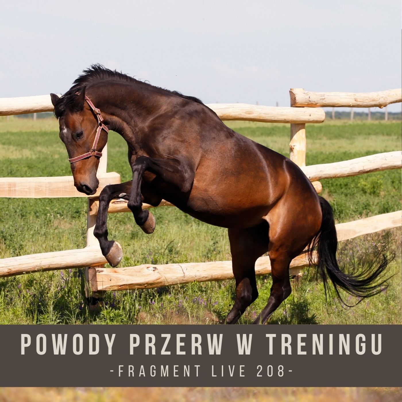 Powody przerw w treningu - fragment live 208