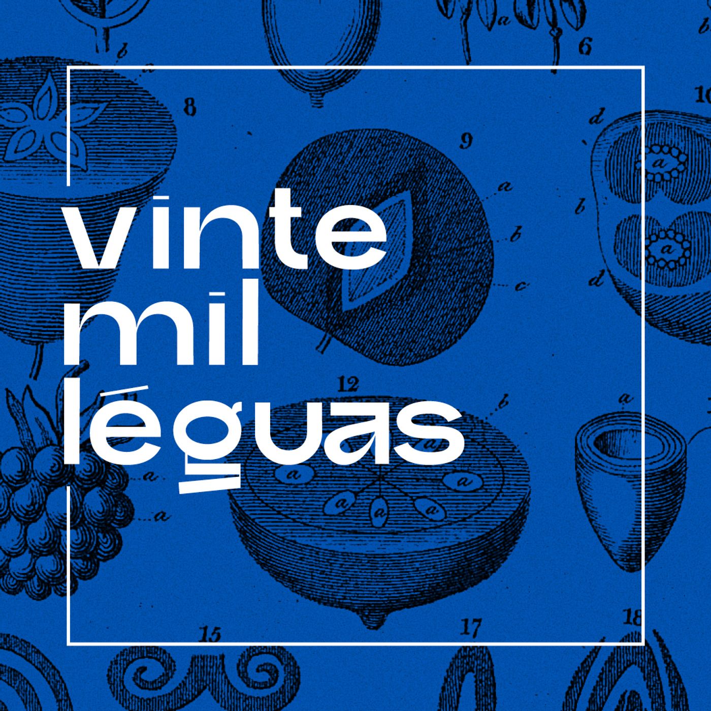 vinte mil léguas