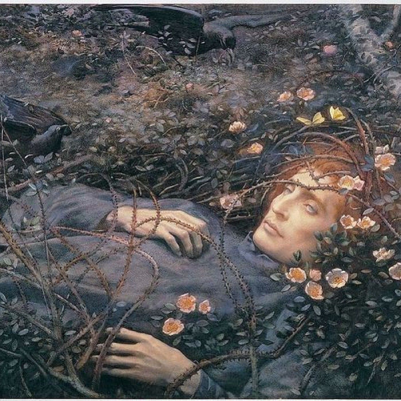 paupiere livide cover art