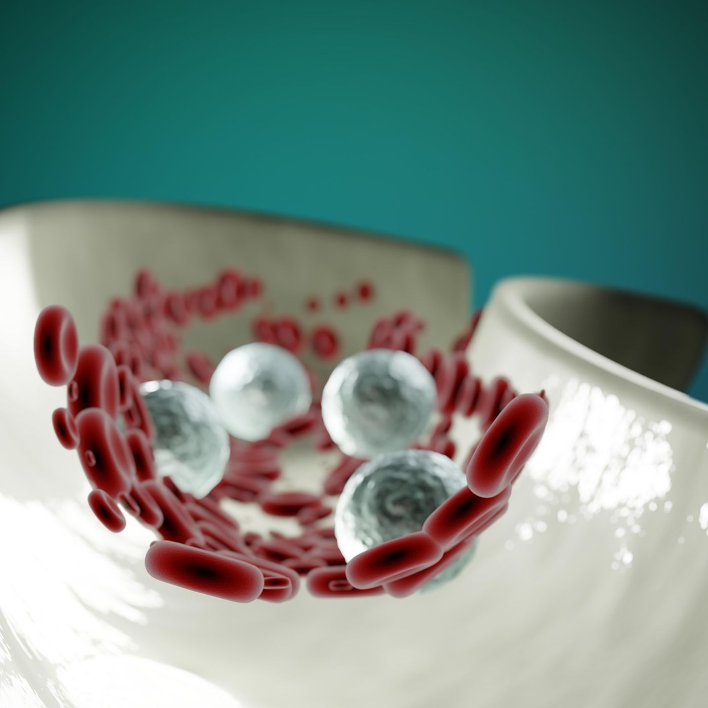 L\'alimentazione by Elisabetta