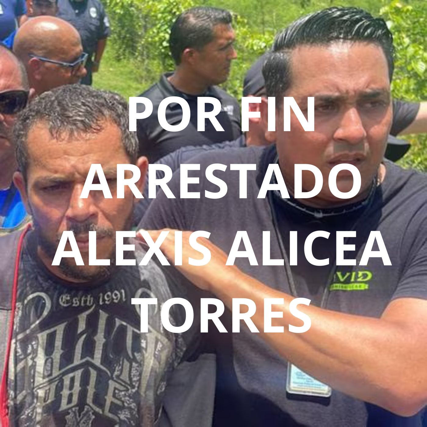 Mi Opinion