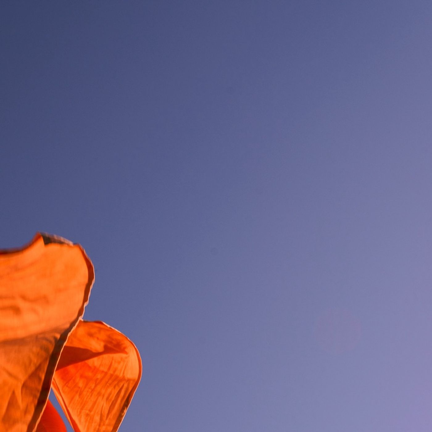 Energias da Semana - 7 a 13 de Outubro ✨