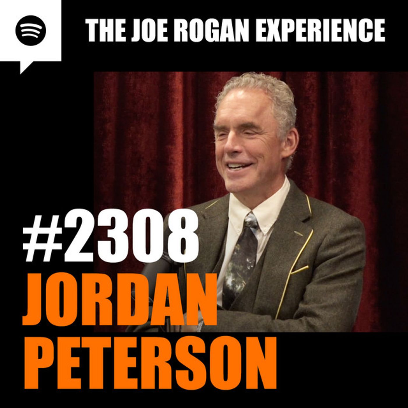 Joe Rogan Experience _2308 - Jordan Peterson(M4A_128K)