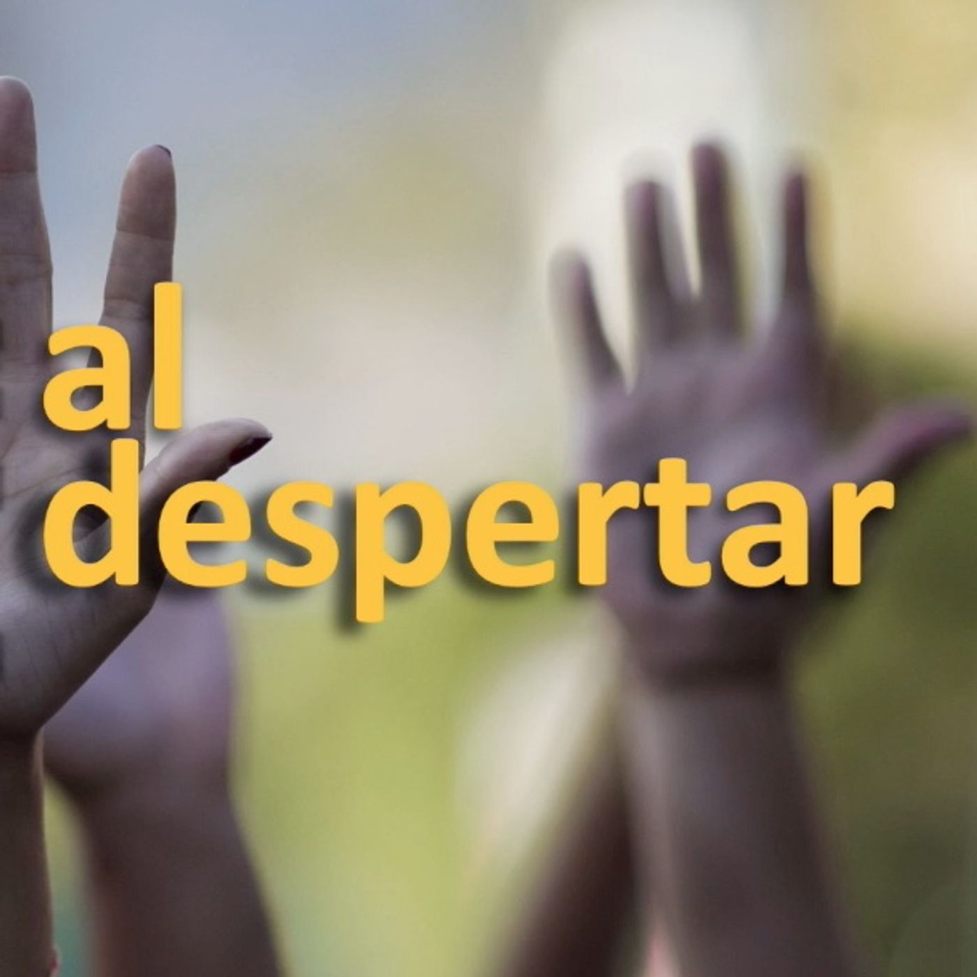 Al Despertar · Un registro y una entrevista a Guido Velásquez candidato constituyente episode artwork