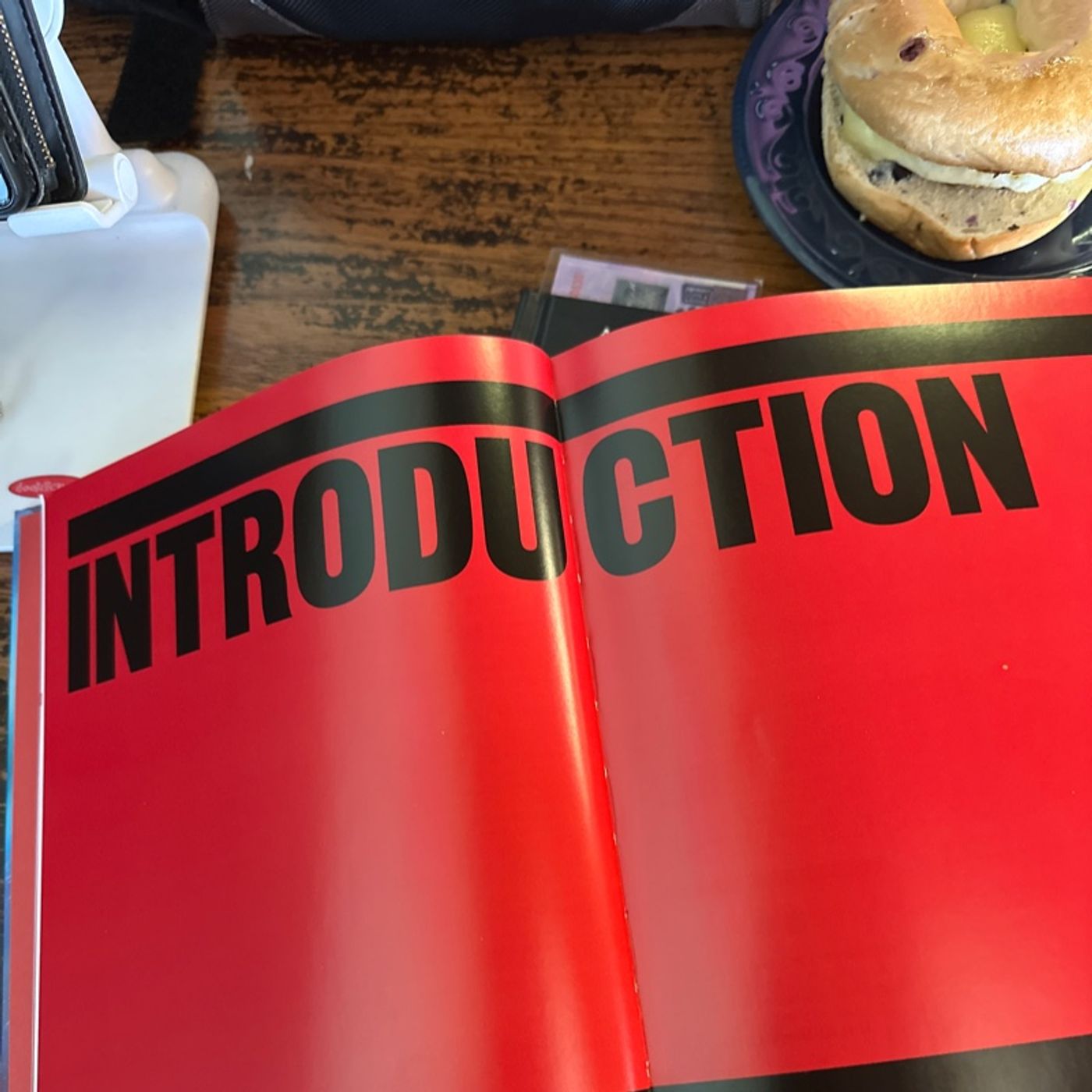 The Physics Book: Big Ideas Simply Explained - Introduction