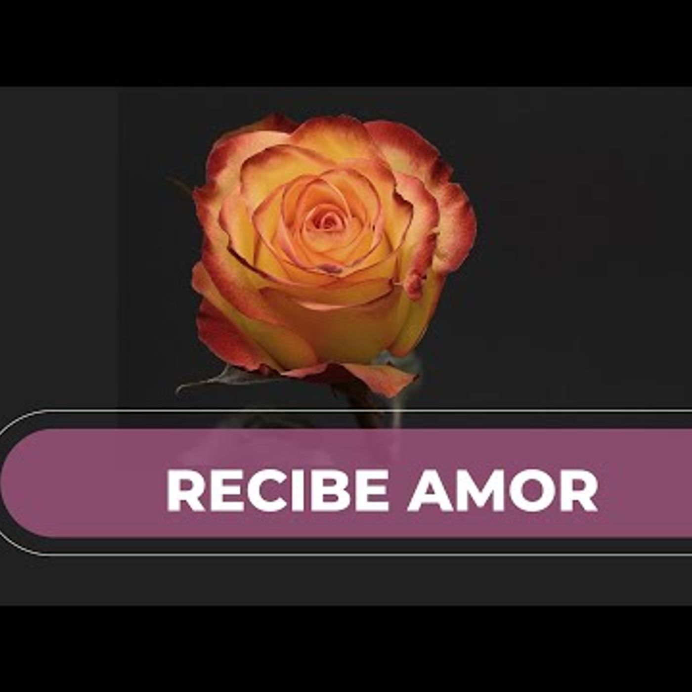 039. Meditación para el Embarazo 🌷 Generando Amor en el Vientre