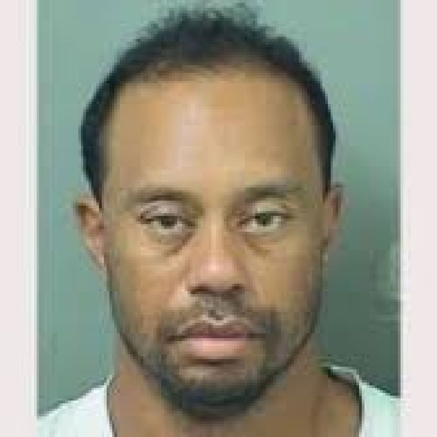 Tiger Woods Arrested In Florida