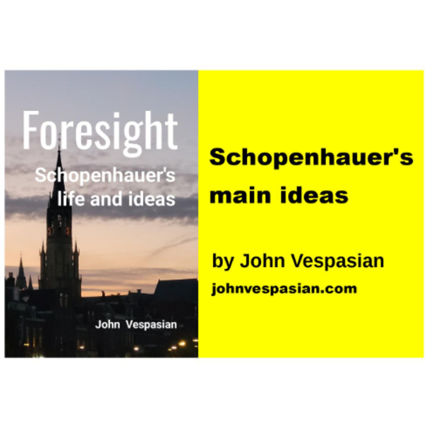 Schopenhauer's main ideas episode artwork