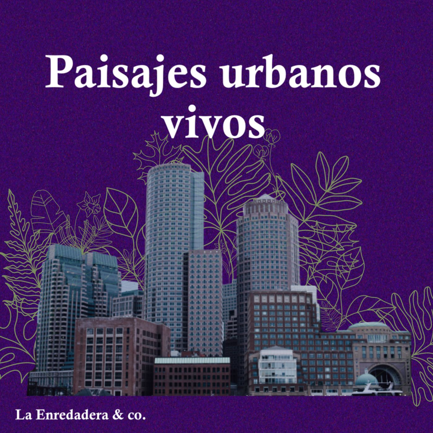La Enredadera & co.